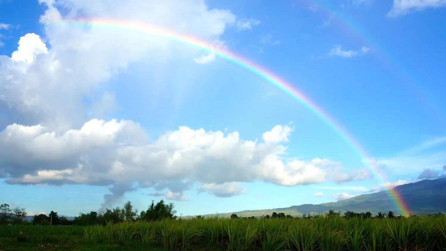 Un prato verde con un arcobaleno e le nuvole