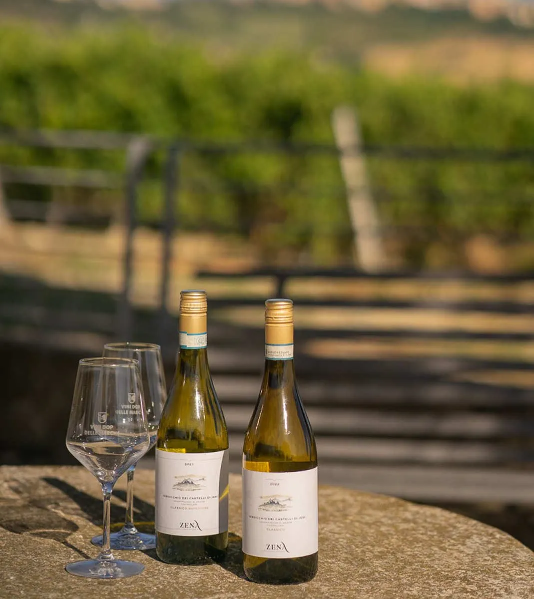 Due bottiglie di Verdicchio e un calice, con la vigna sfocata sullo sfondo