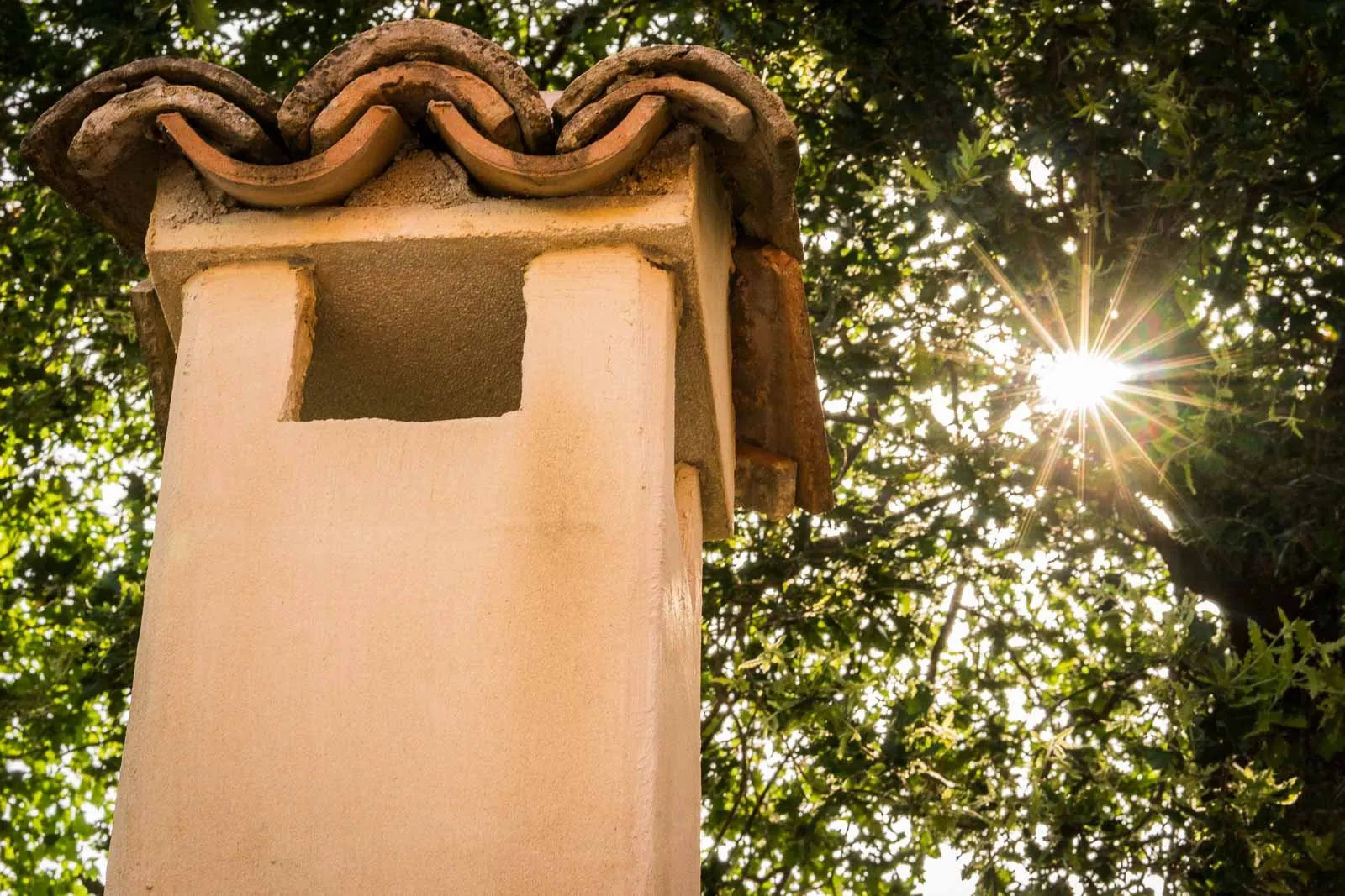 Il sole tra le fronde dietro un comignolo in cotto