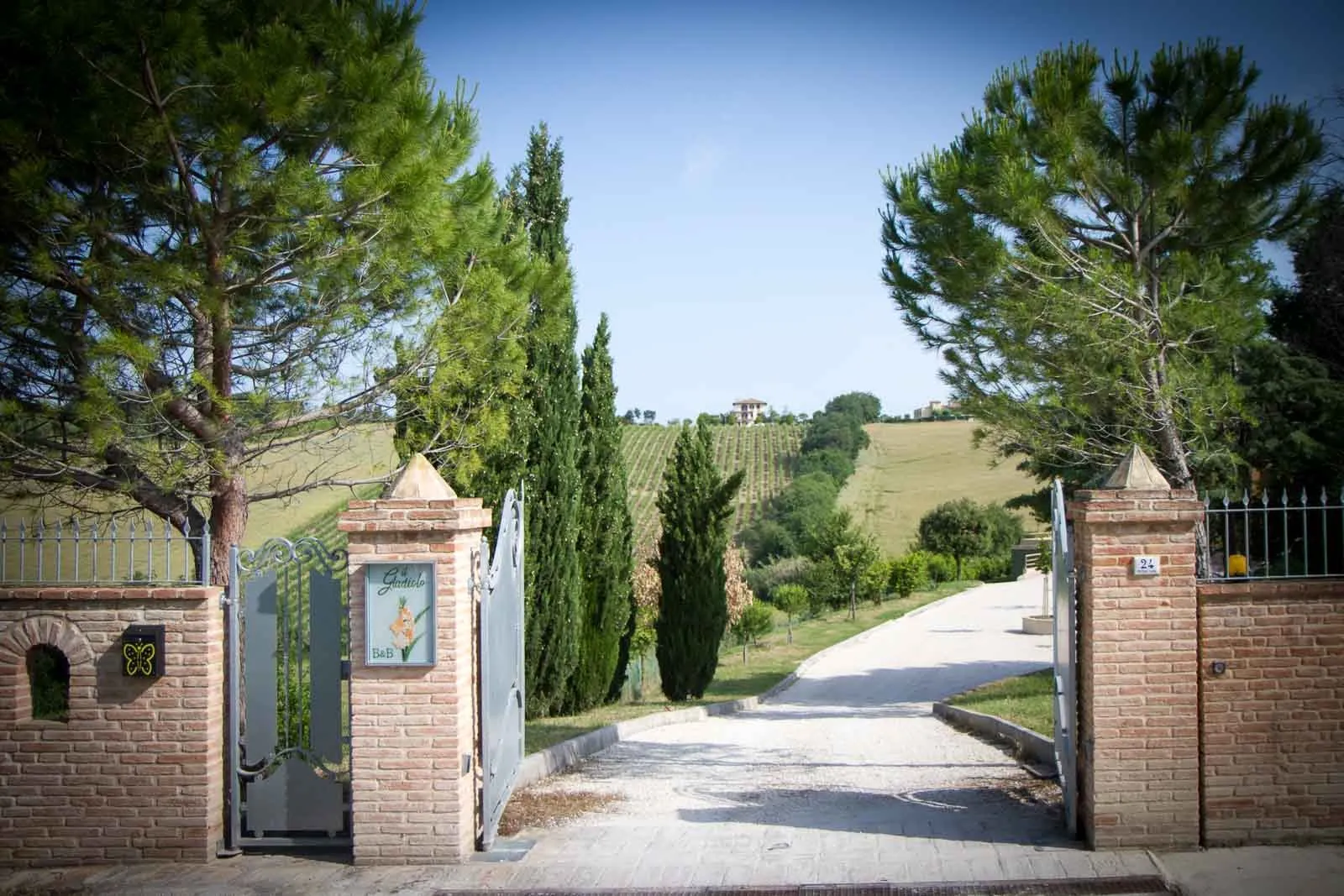 Un viale di cipressi che porta all'ingresso di una casa in campagna