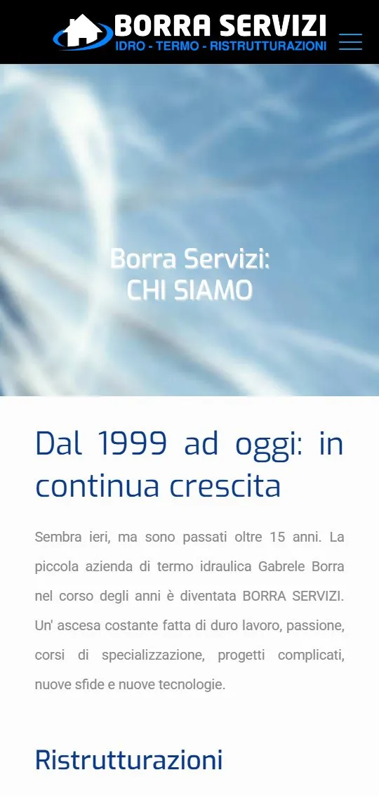 Il sito di Borra Servizi sul telefono
