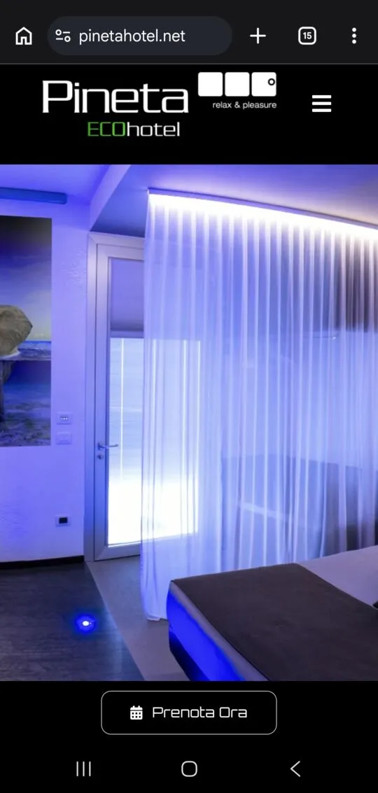 Il sito di Pineta Hotel sul telefono